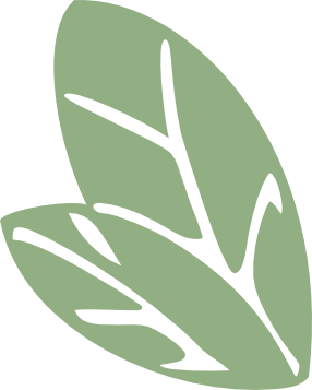 Feuilles Ti Fée Des Bijoux